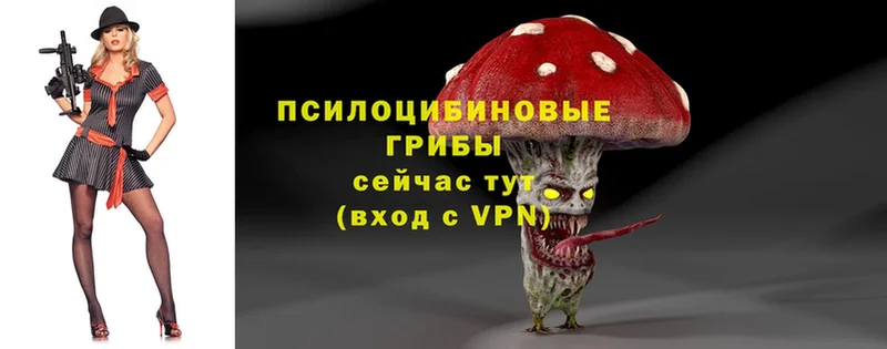 Галлюциногенные грибы MAGIC MUSHROOMS  хочу   MEGA ССЫЛКА  Бирюч 